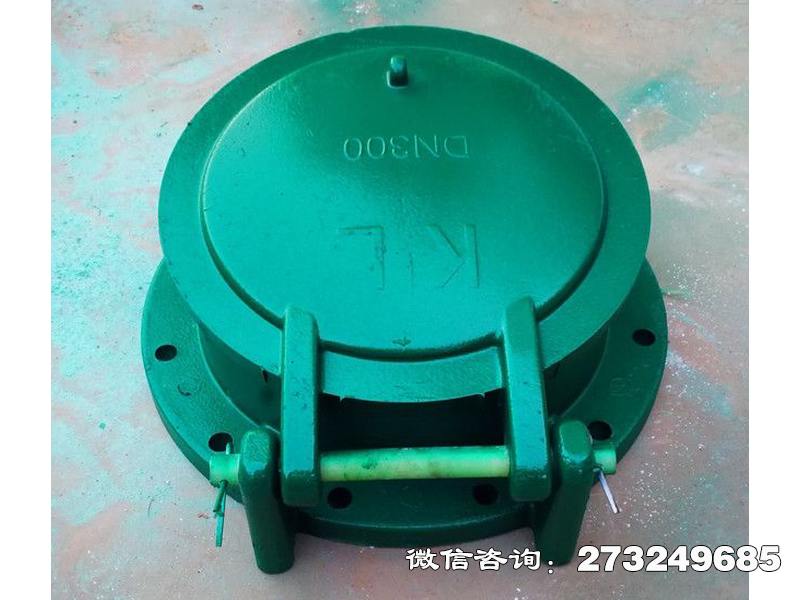 保定dn300复合材料拍门